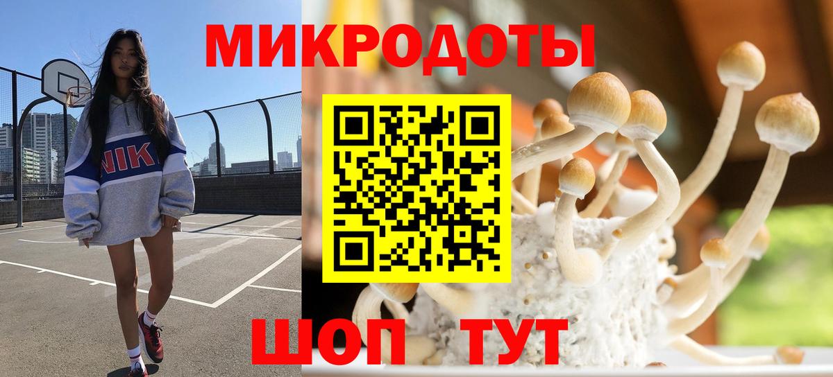 Галлюциногенные грибы Psilocybine cubensis  Вход с VPN  где купить наркотик  Мытищи 